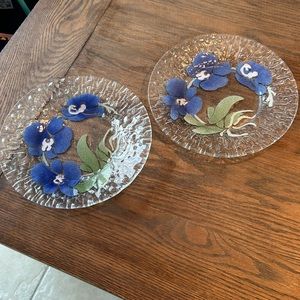 Sydenstricker Glass Dinner Plates Set of Two